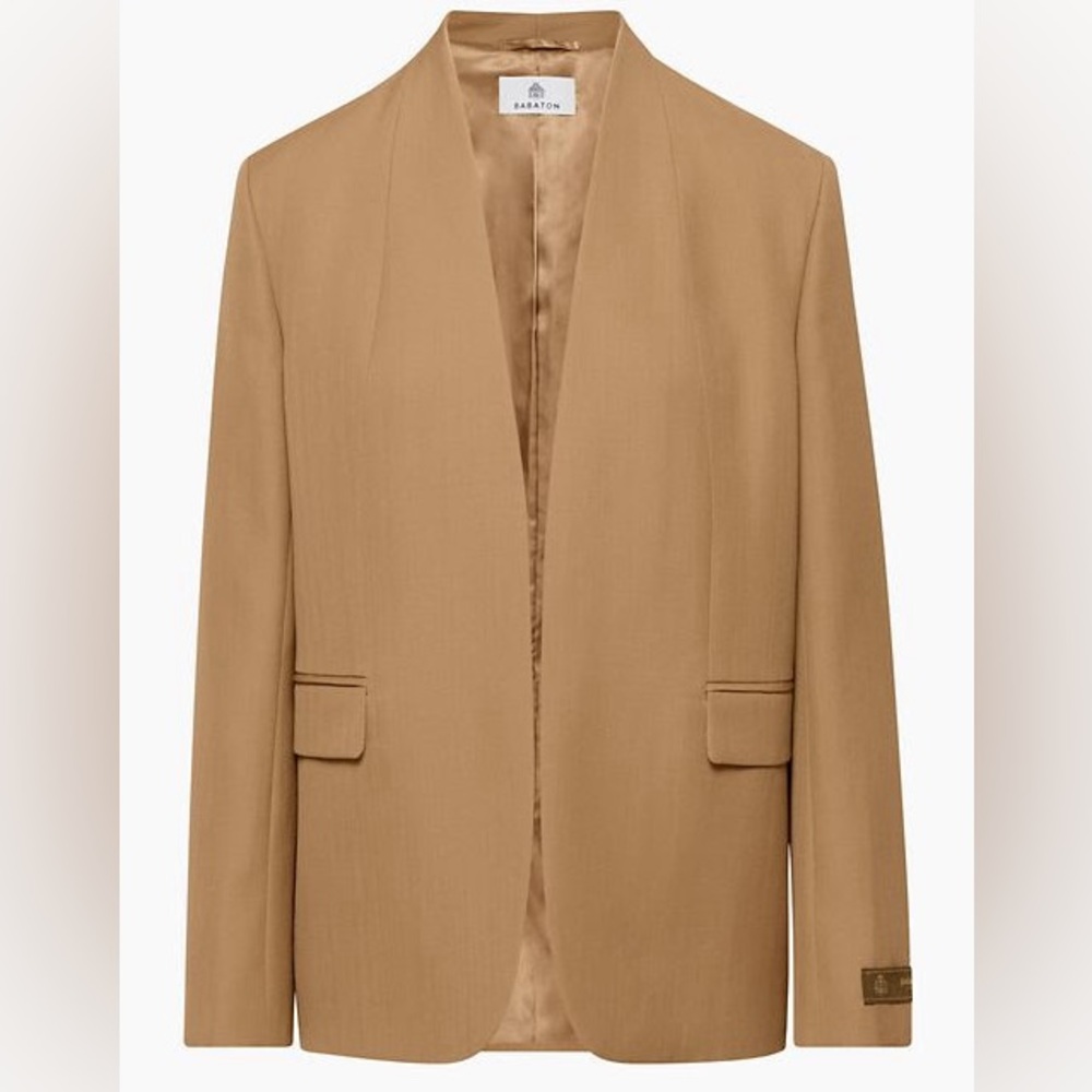 NWT Aritzia Babaton Identity Blazer in Camel - Size S